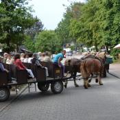 Lüneburger Heide